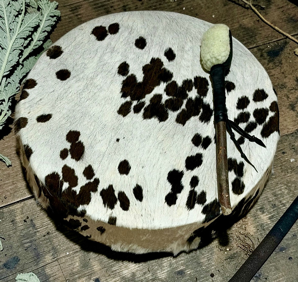 Thumbnail: Sjamanendrum Koe 42 cm Incl Suède Drumtas 