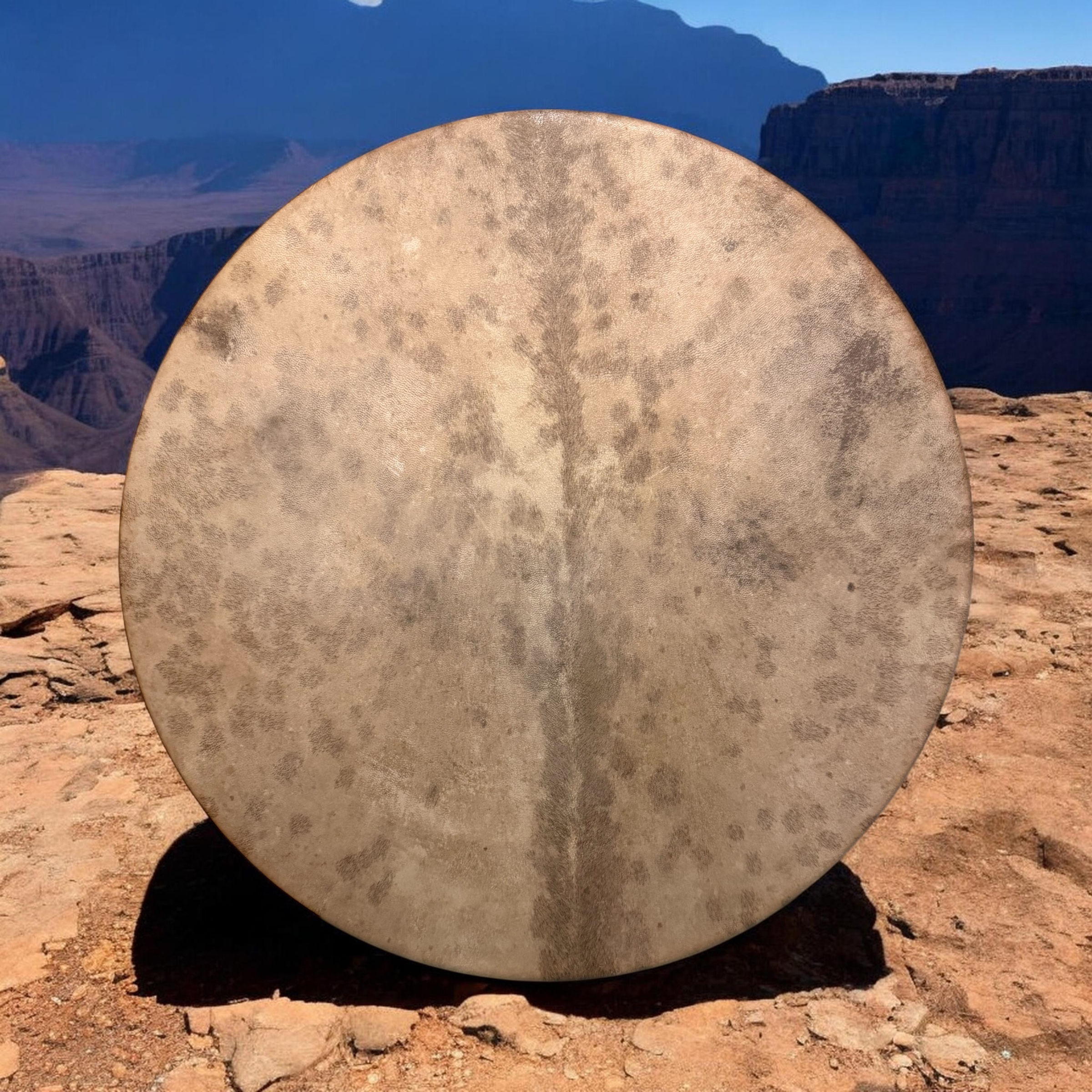 Singing Sjamanendrum Nubische Geit 47 cm