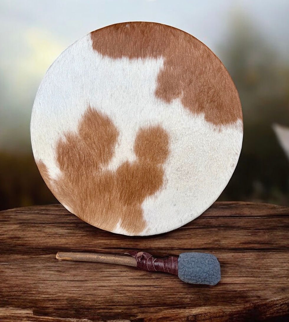 Sjamanendrum Paard 47 cm