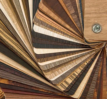 échantillons en bois