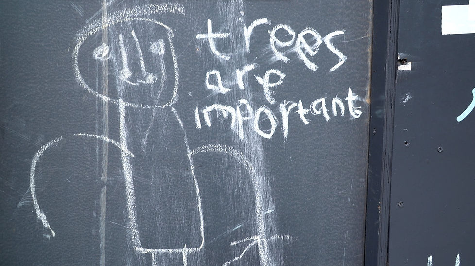 Trees_are_Important_edited.jpg