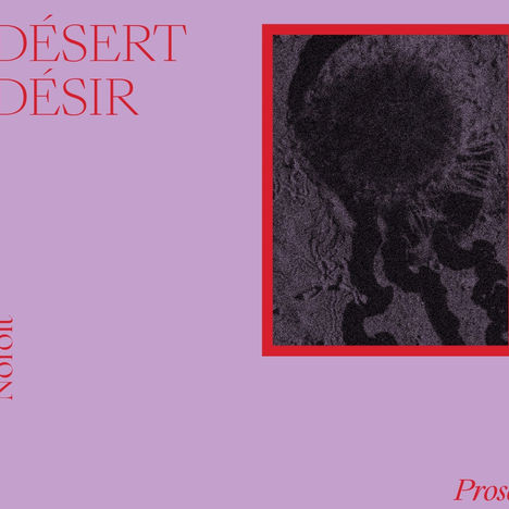 Se laisser bercer avec Désert Désir