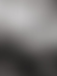 Dans l'univers des tatoueuses