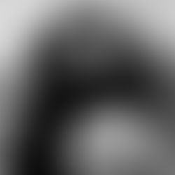 Lauria: ferveur d’une artiste pour son art