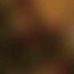 Arrêter de l’arroser quand la fleur est morte