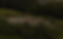2026 V2_HSWG 2026 WEBSITE MOCKUP (1).png