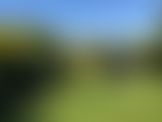 Streaker Returning… with a New Mission