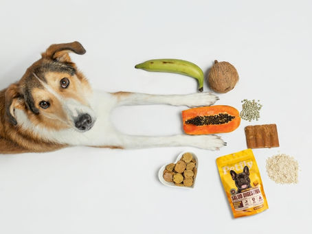 Perro con estómago sensible: 5 cosas que mirar en sus premios