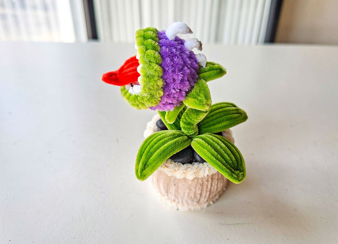 Playful Sprout Plant