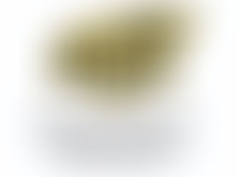 Dr. Sato Awarded URCA Grant