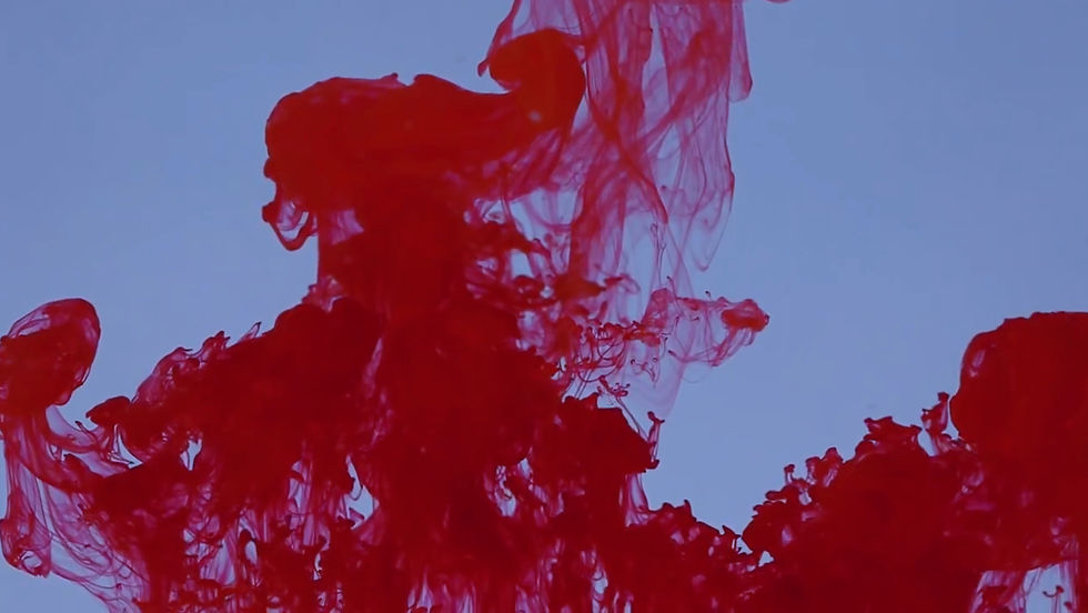 Screenshot 2024-10-13 at 4_edited.jpg