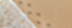 AdobeStock_585063407_Preview.jpeg