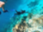 a diver underwater on an FTLO Belize trip