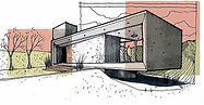 Planta Vectorcativante