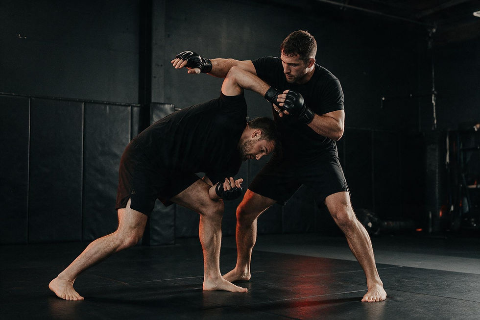 MMA.jpg