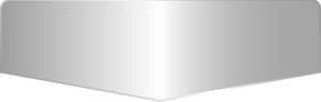 Silver icon