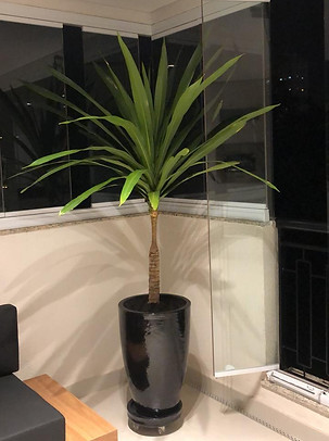 Produto adquirido por cliente.