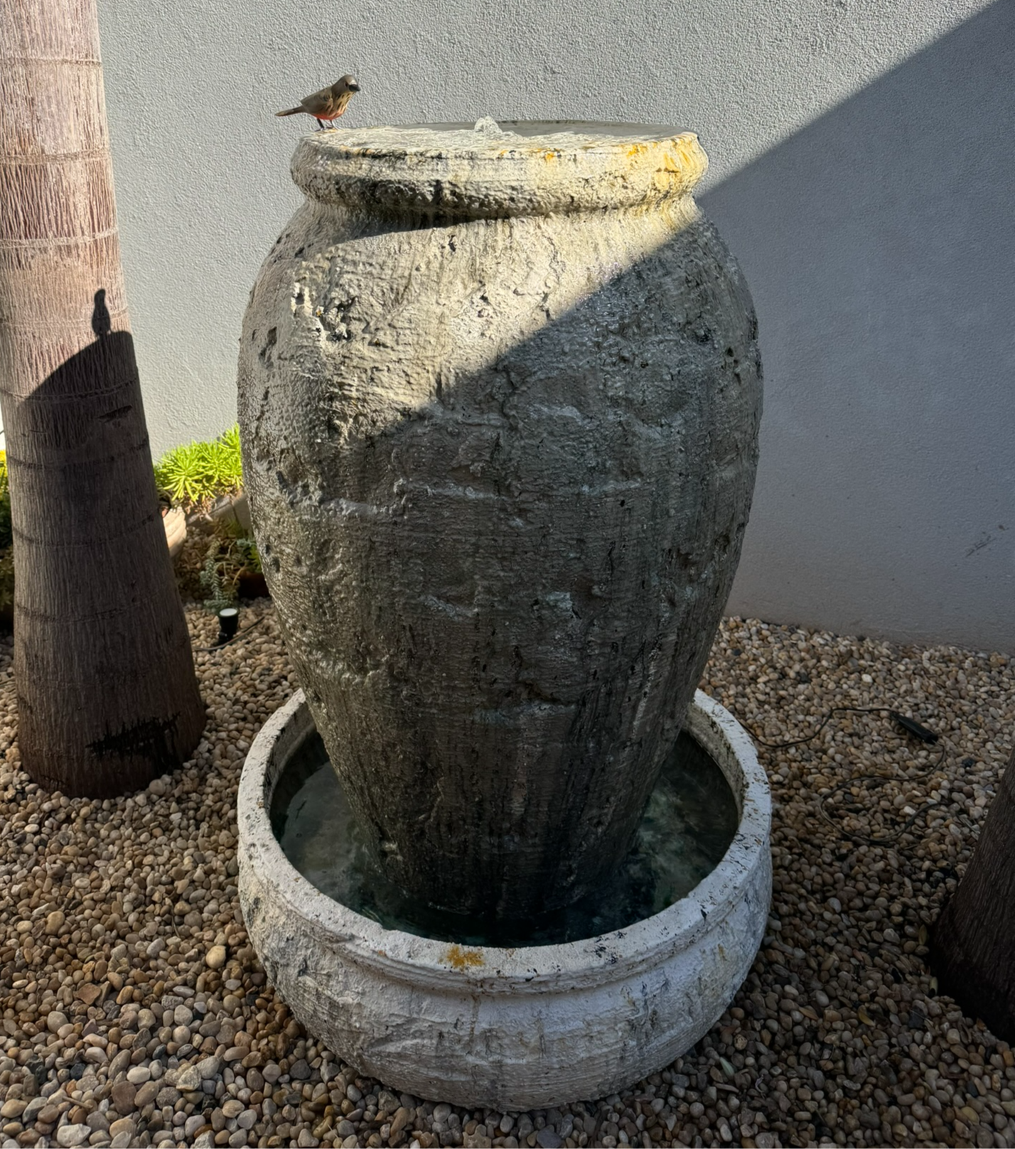 FONTE - MEDITERRÂNEO