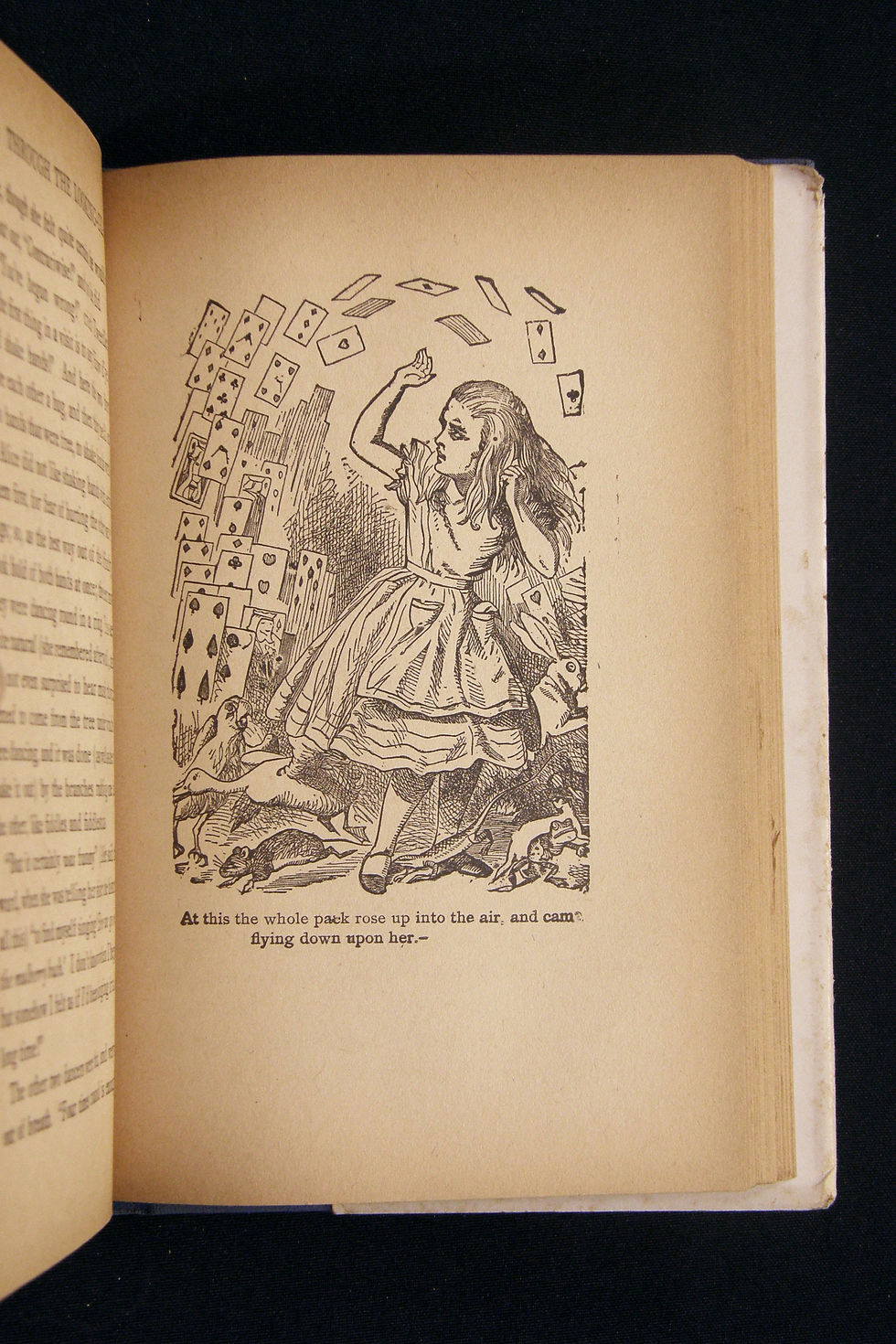Thumbnail: Alice in Wonderland