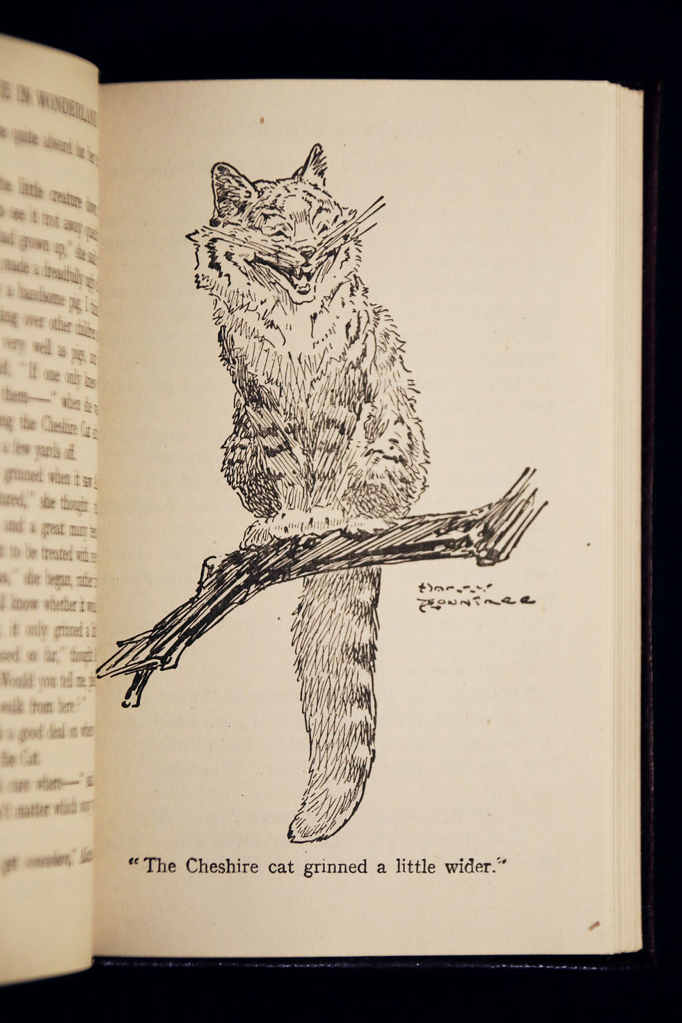 Thumbnail: Alice in Wonderland and Through the Looking-Glass