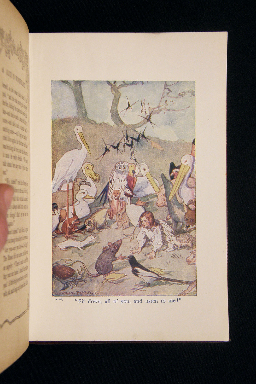 Thumbnail: Alice in Wonderland