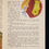 Thumbnail: Walt Disney's Story of Alice in Wonderland and Cinderella