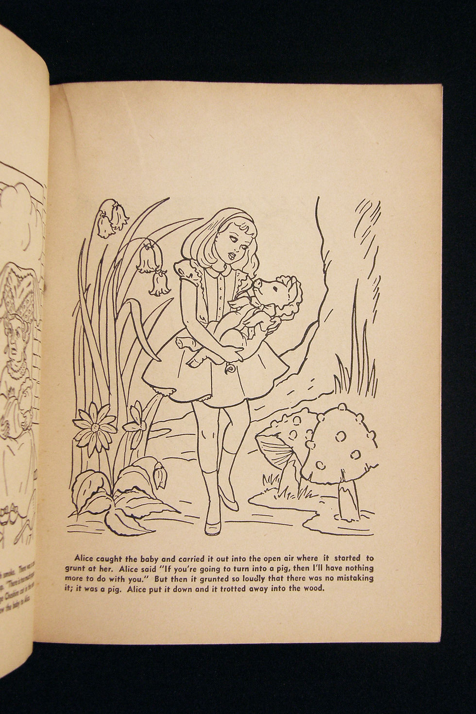 Thumbnail: Alice in Wonderland Story and Painting Book