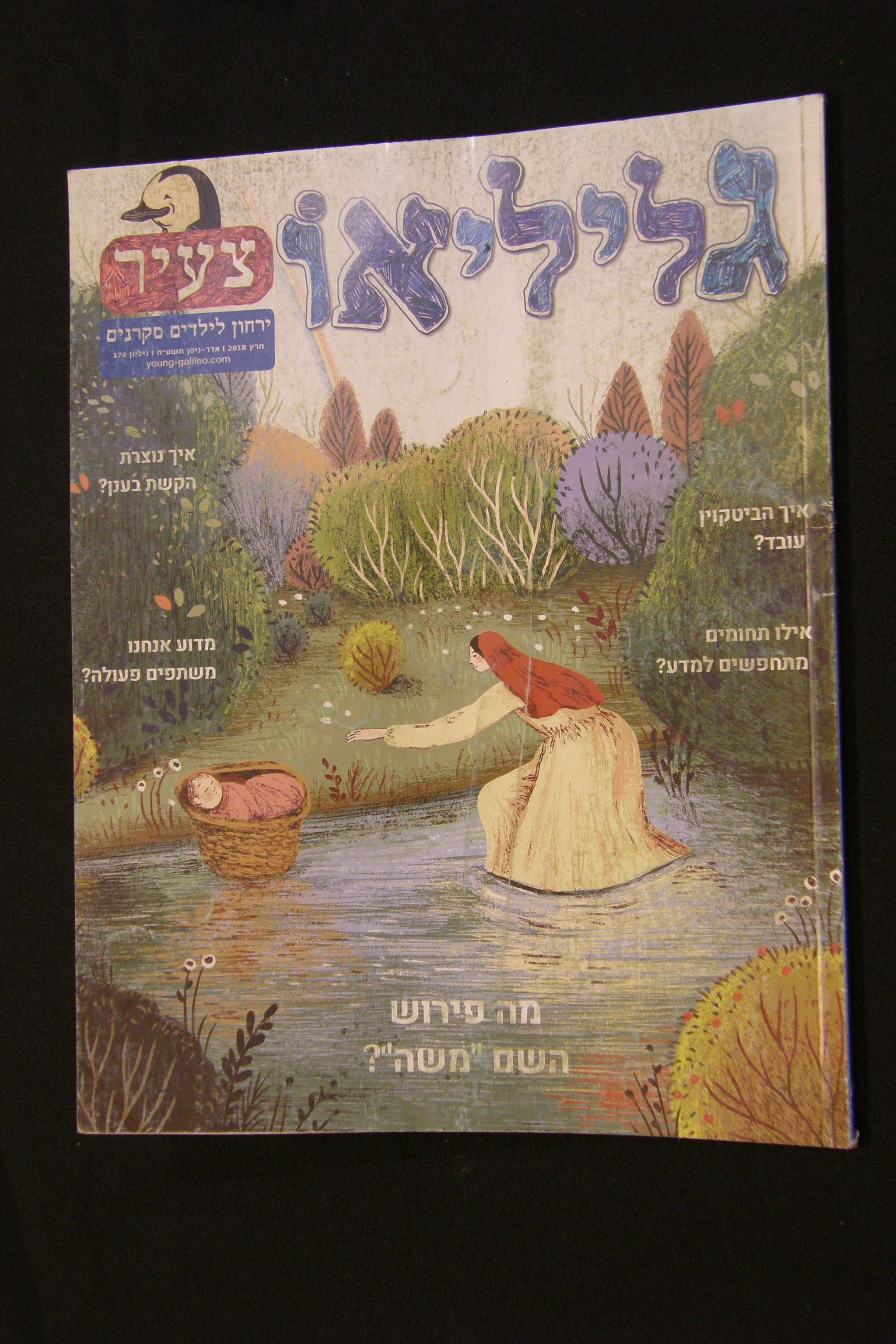 גלילאו צעיר