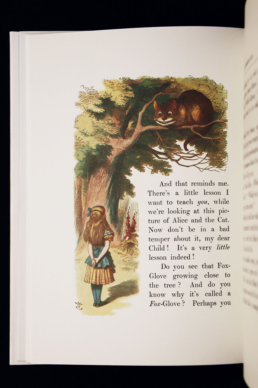 Thumbnail: The Nursery Alice