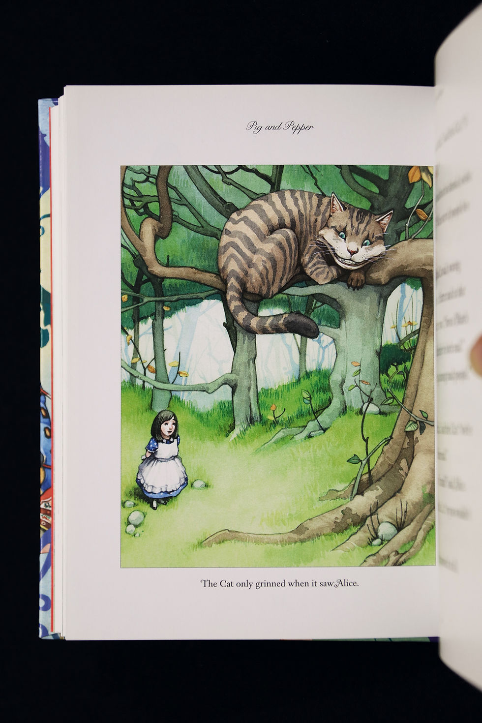 Thumbnail: Alice's Adventures in Wonderland