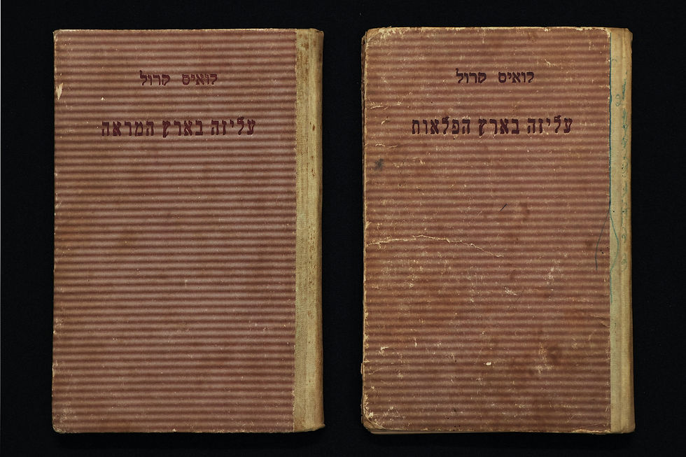 Thumbnail: עליזה בארץ הפלאות ועליזה בארץ המראה