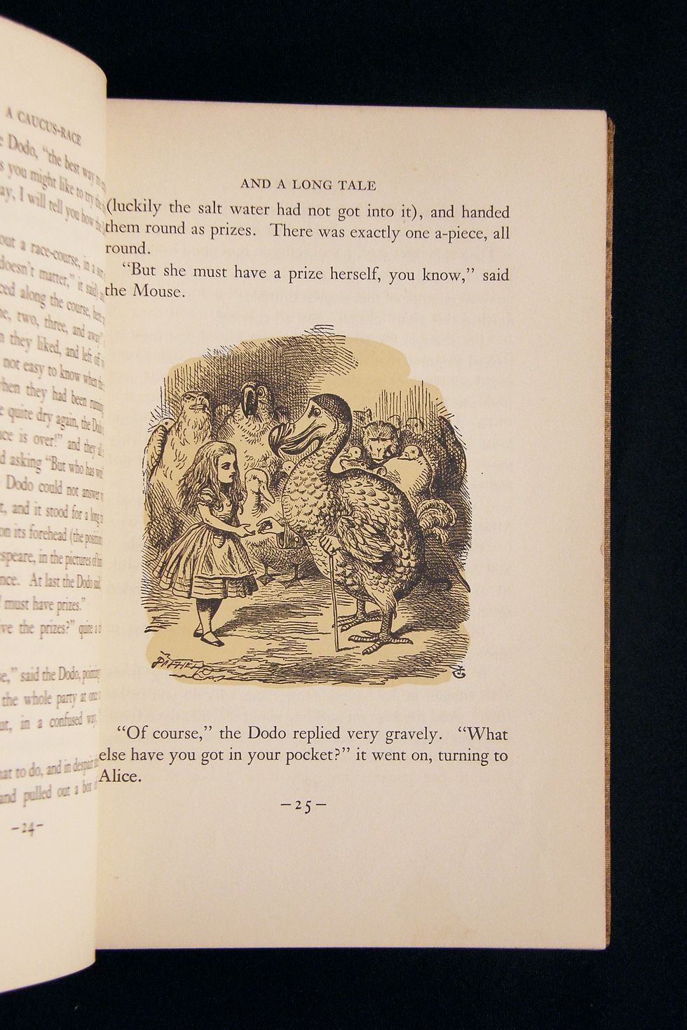Thumbnail: Alice in Wonderland  & Through the Looking-Glass