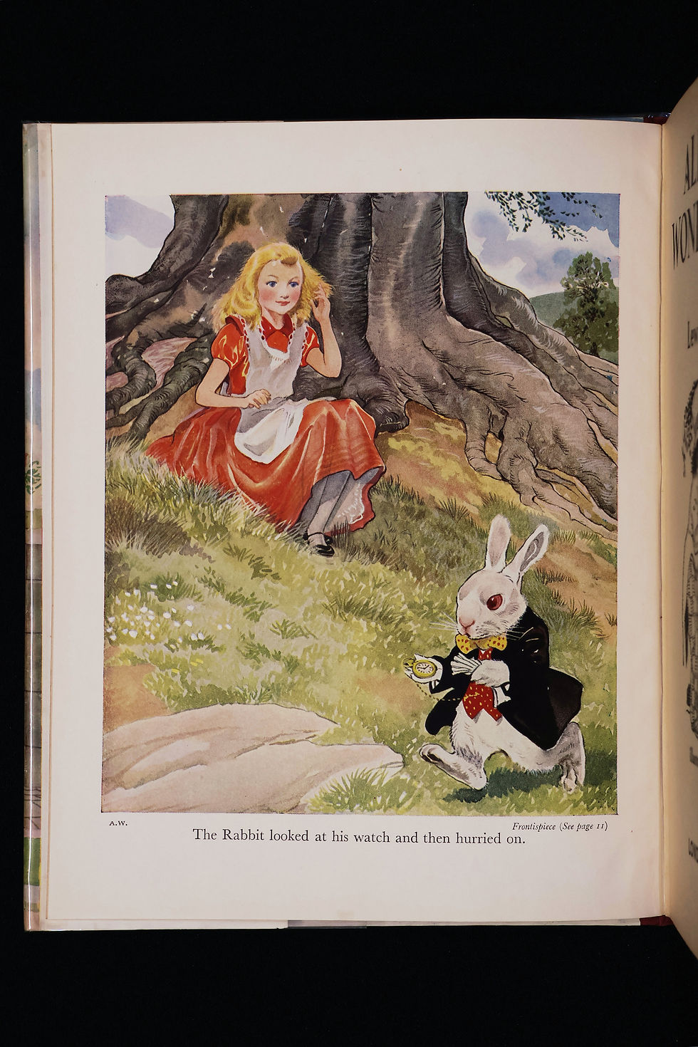 Thumbnail: Alice in Wonderland