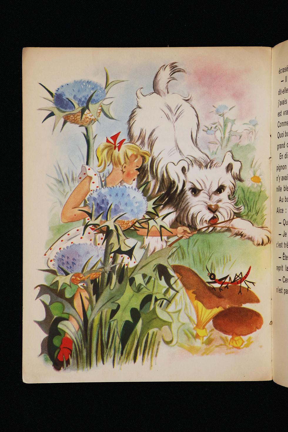 Thumbnail: Alice au Pays des Animaux