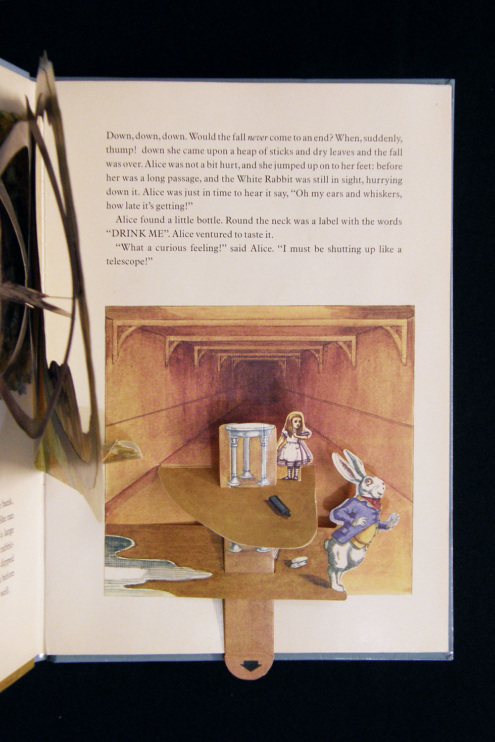 Thumbnail: Alice's Adventures in Wonderland - A Pop Up Book