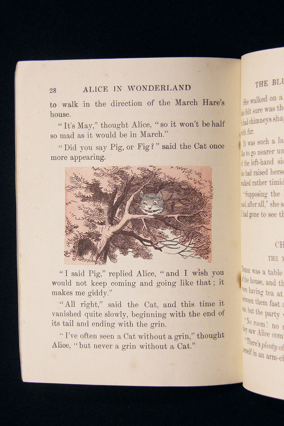 Thumbnail: Alice's Adventures in Wonderland