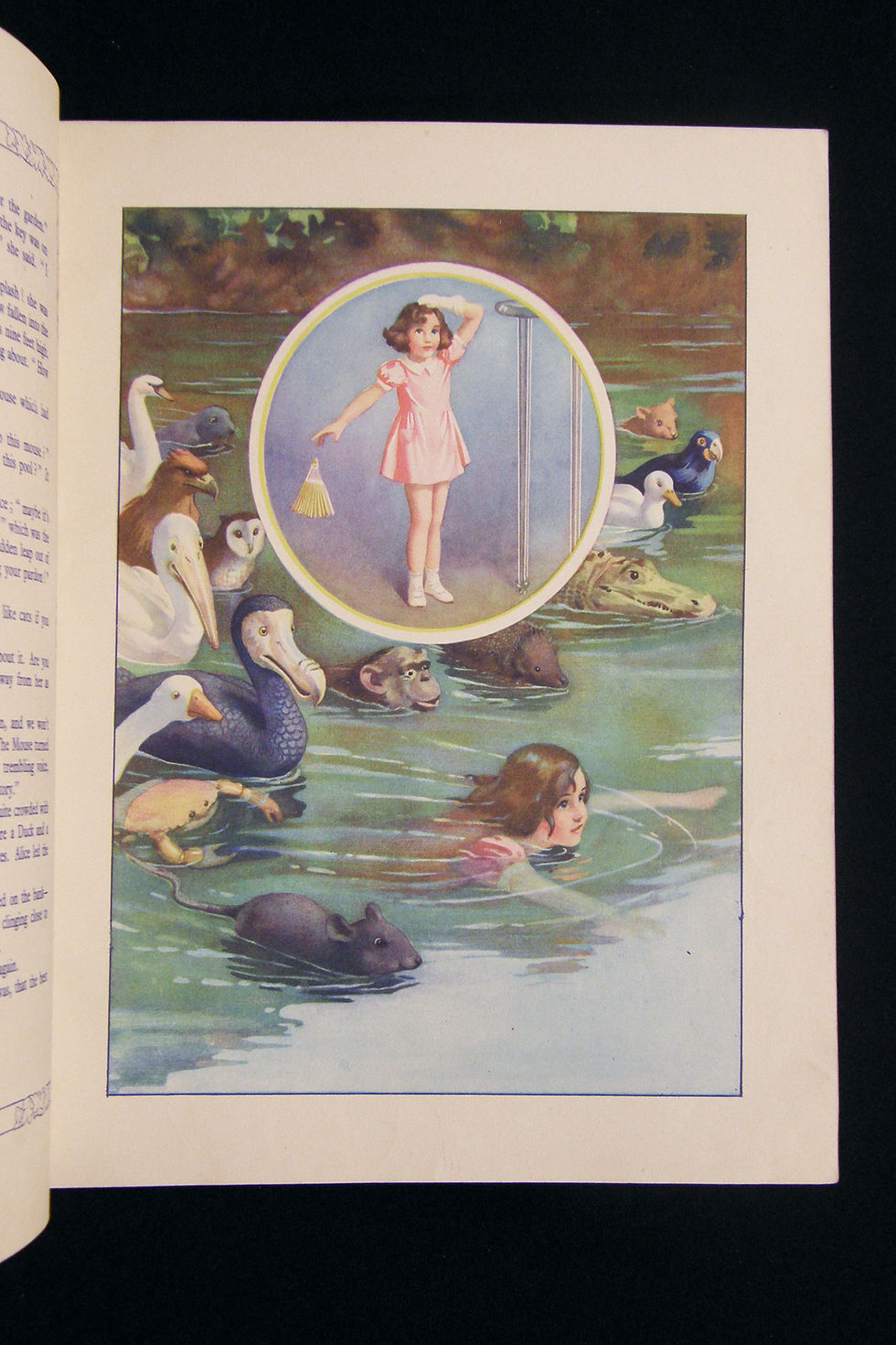 Thumbnail: Alice in Wonderland