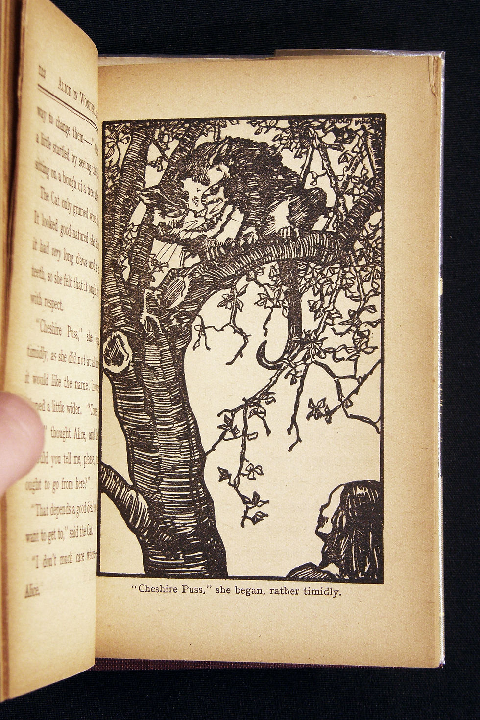 Thumbnail: Alice in Wonderland