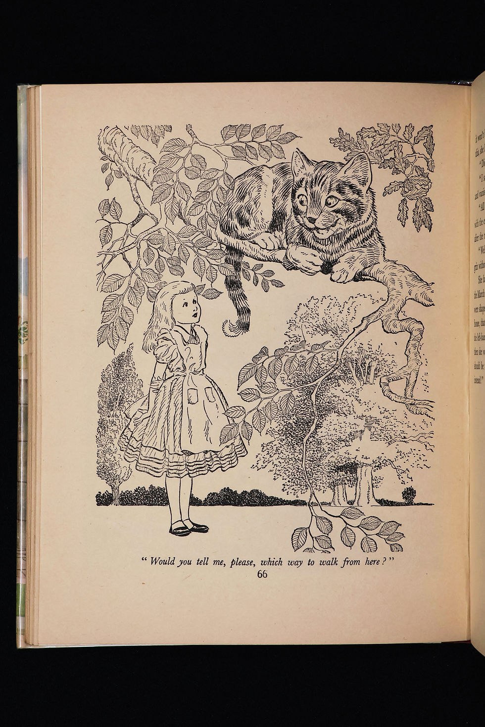 Thumbnail: Alice in Wonderland
