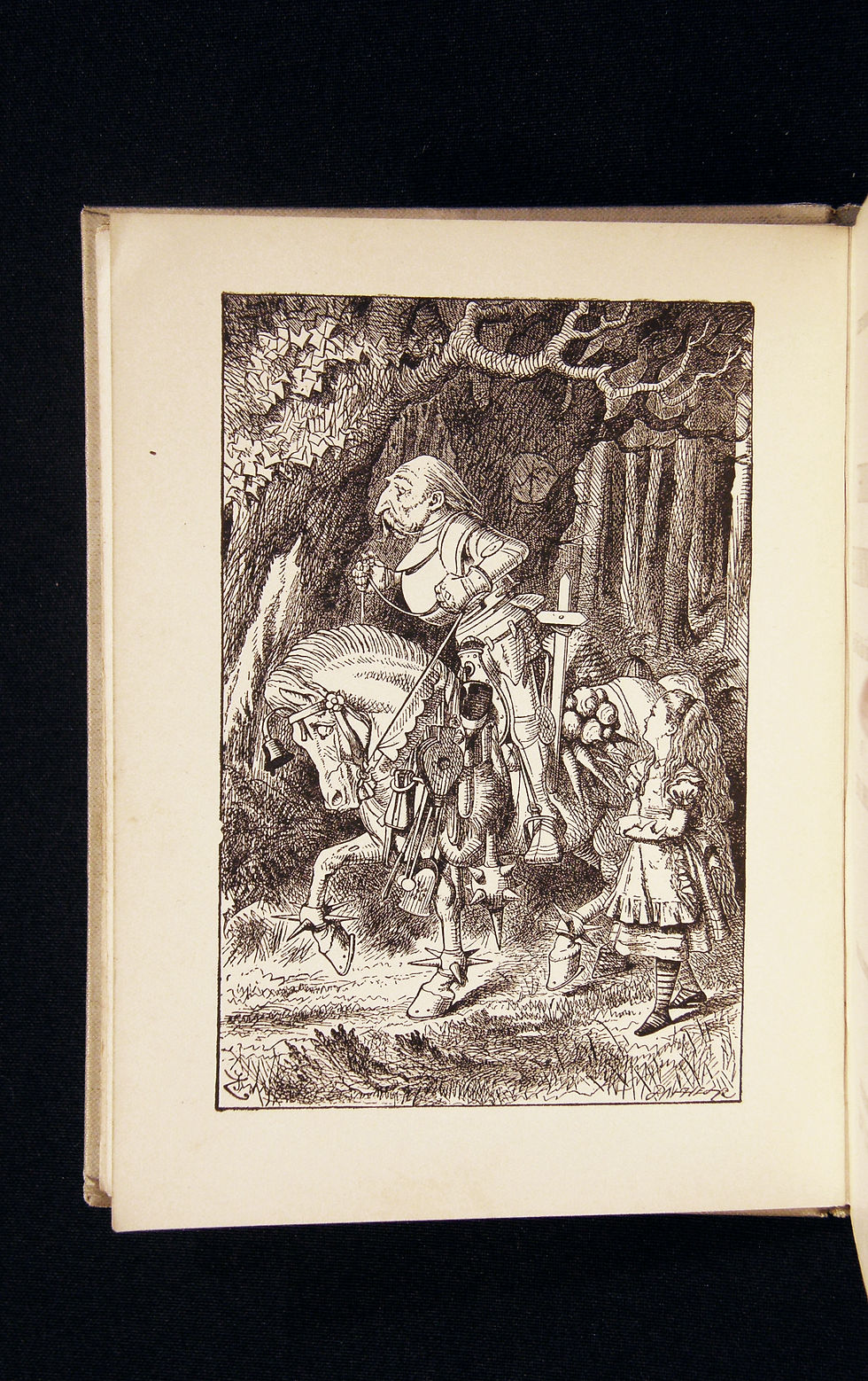 Thumbnail: Alice's Adventures in Wonderland & Through the Looking - Glass