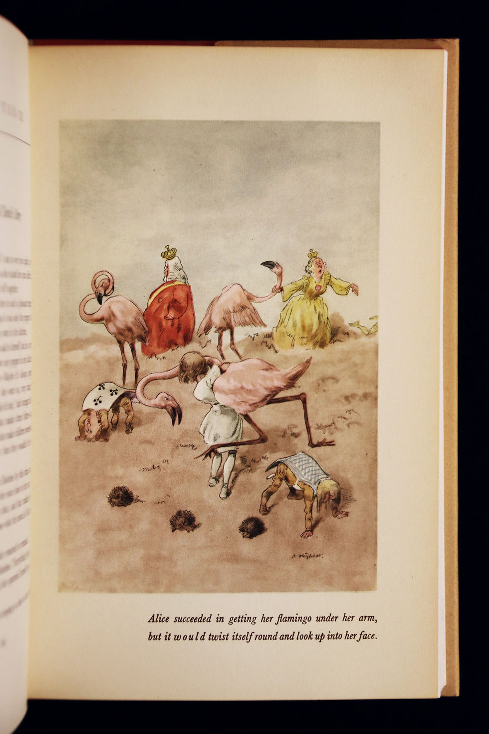 Thumbnail: Alice in Wonderland and Through the Looking Glass