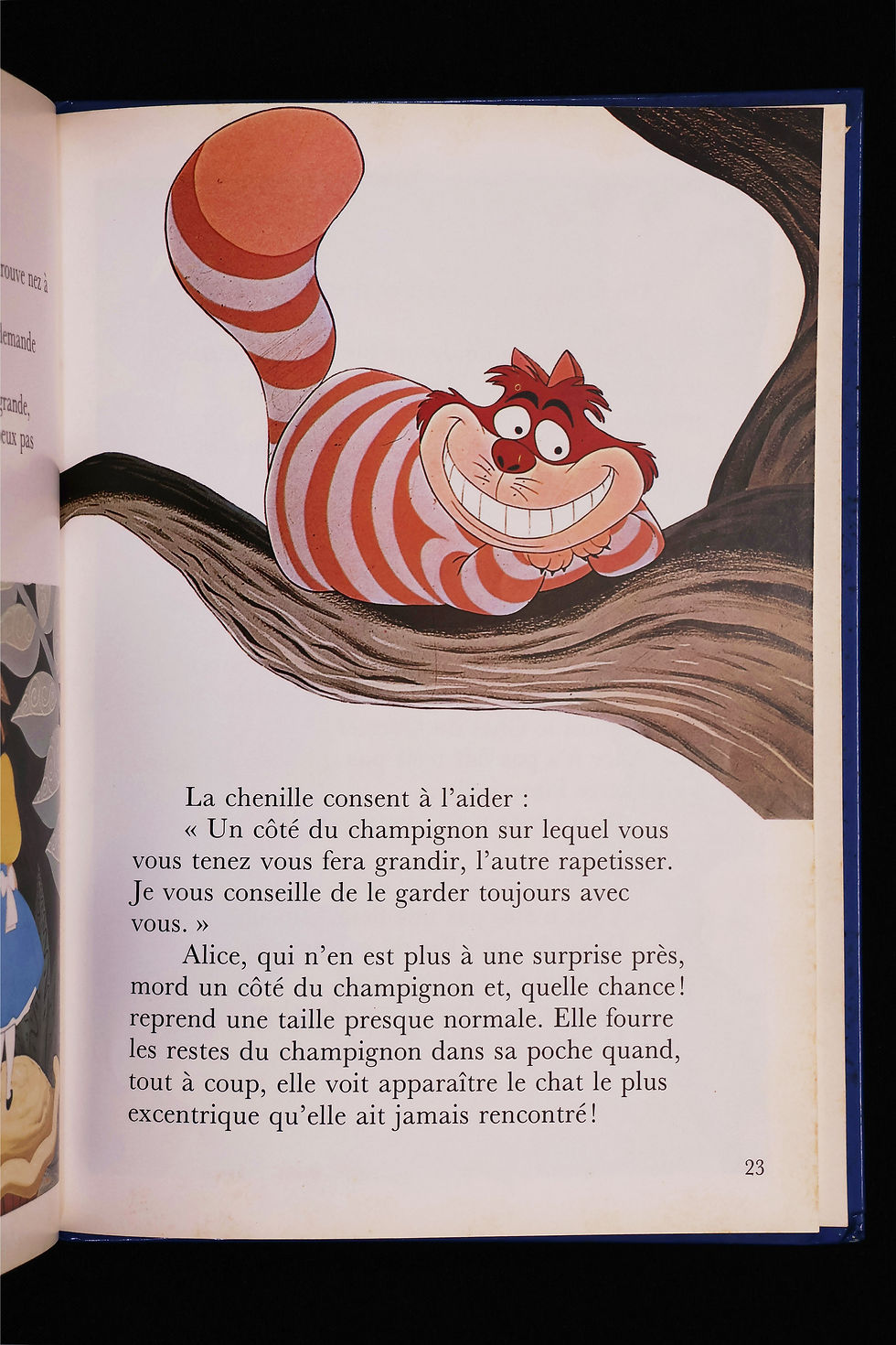 Thumbnail: Alice au Pays des Merveilles