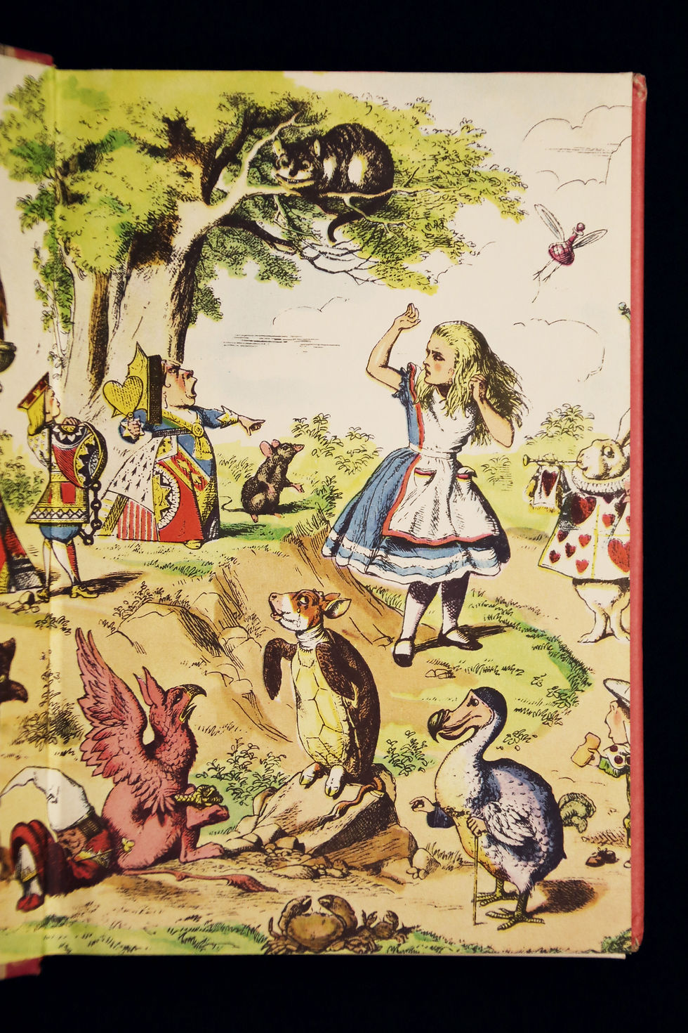 Thumbnail: Alice in Wonderland  & Through the Looking-Glass