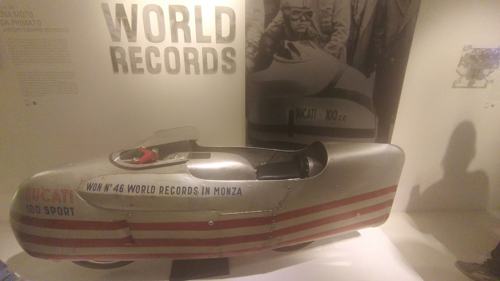 Immagine WhatsApp 2025-04-10 ore 15.46.11_1d945dfb