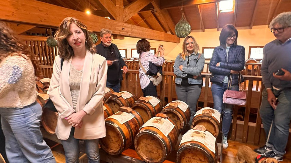 photo_51_2025-05-12_08-53-22