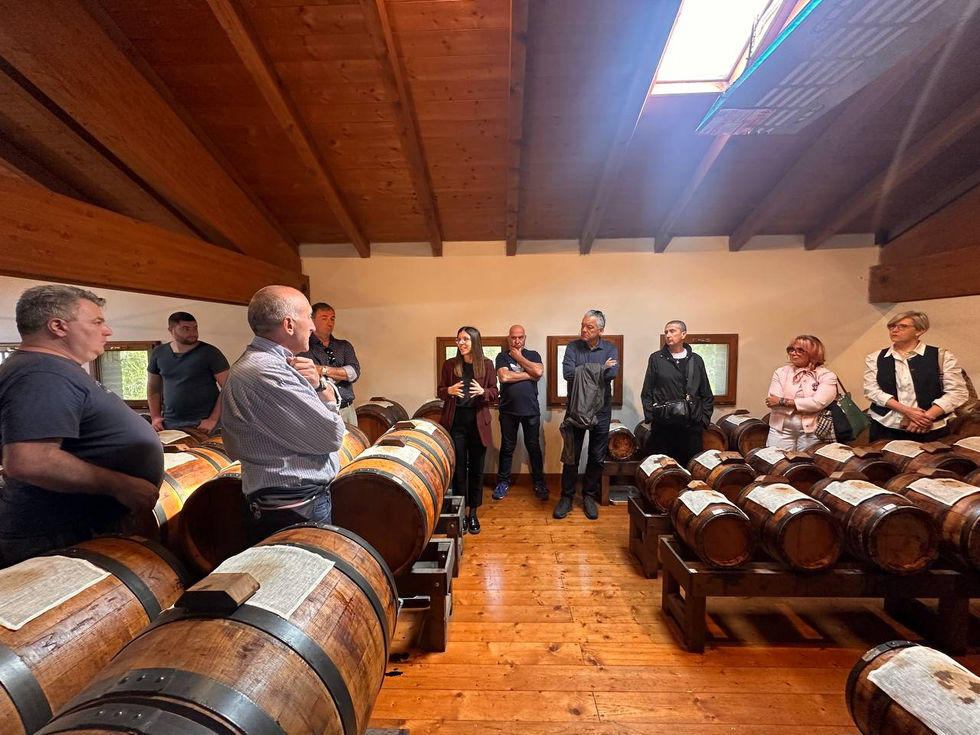 photo_49_2025-05-12_08-53-22