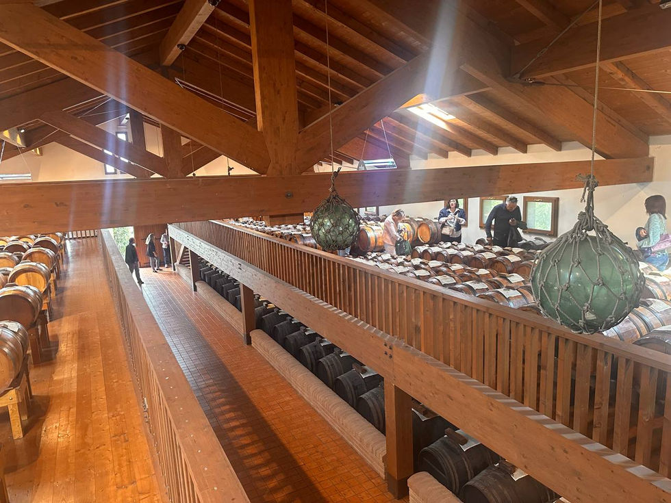 photo_87_2025-05-12_08-53-22