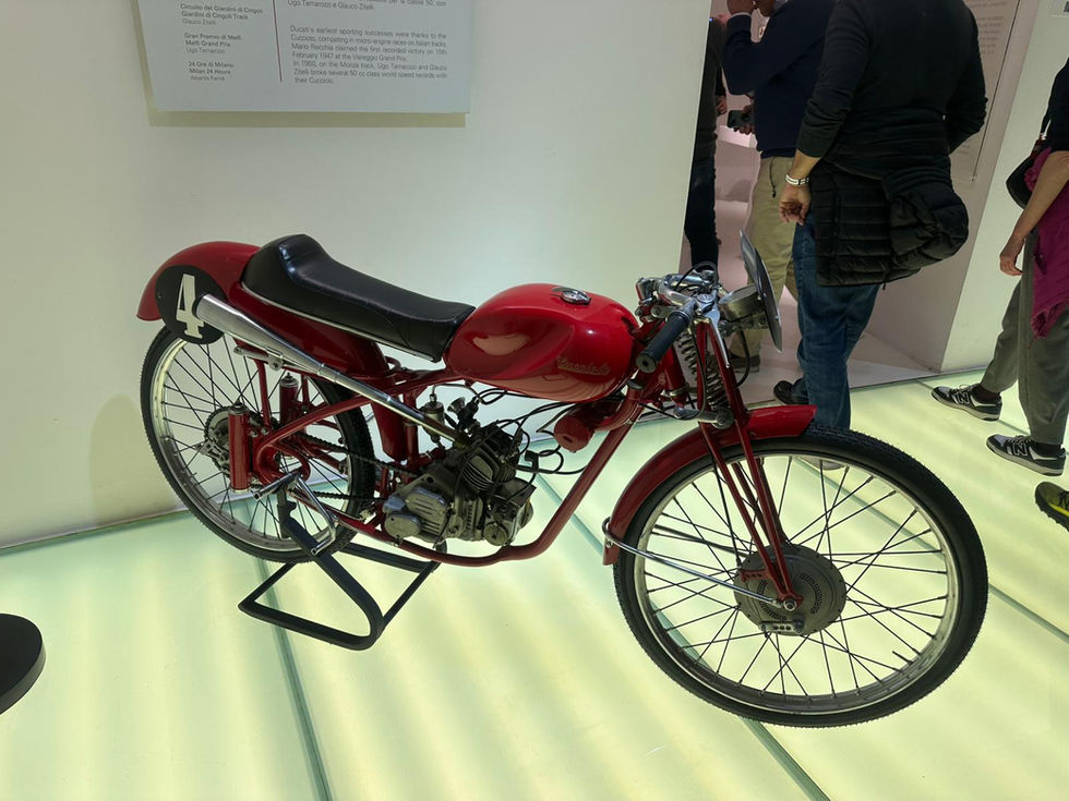 Immagine WhatsApp 2025-04-10 ore 15.45.26_0e8e5703