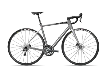 72DPI_ENDURANCE_GRIS-METAL.webp
