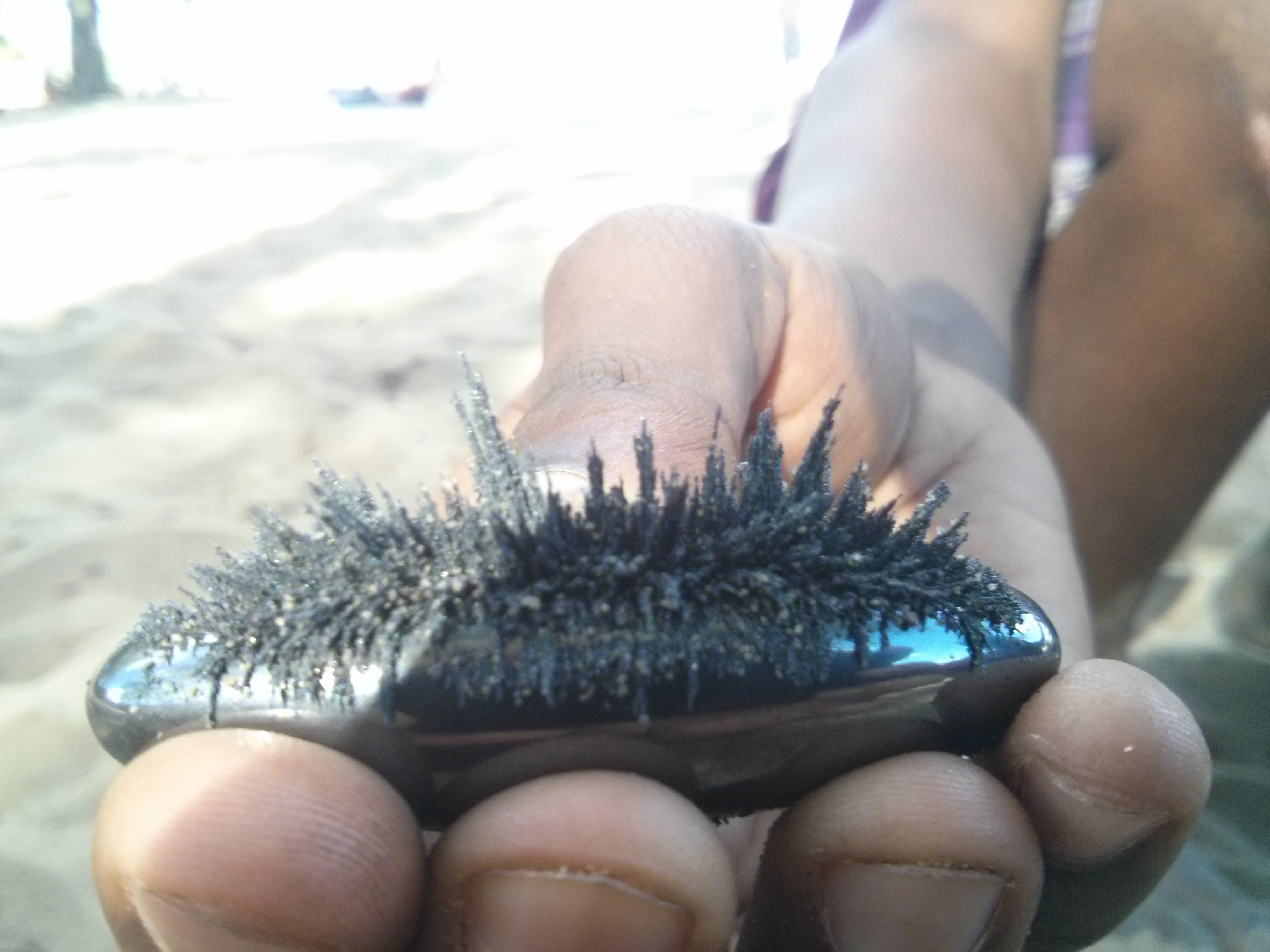 Magnetic connections to the Earth